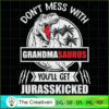 Jurasskicked Don't Mess with SVG Cut File for Cricut Design 25136
