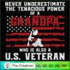 Be Nice to the Veterans Sant SVG Cut File for Cricut 3 6 copy 53