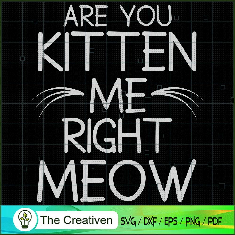 Are You Kitten Me Right Meow SVG Cut File for Cricut & Silhouette 1 Are You Kitten Me Right Meow SVG Cut File for Cricut & Silhouette