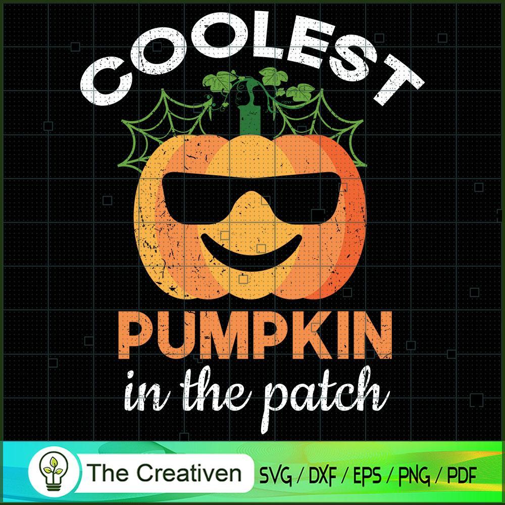 Coolest Pumpkin in the Patch SVG, Coolest Pumpkin SVG, Halloween SVG 1 97 copy 3