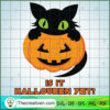 Black Cat is It Halloween Yet SVG, Horror SVG, Halloween SVG, Scary SVG 3 14 copy 16