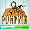 Hey There Pumpkin SVG, Pumpkin SVG, Halloween SVG 3 19 copy 12