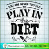 You Are Never Too Old To Pla SVG Cut File for Cricut