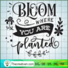 Bloom Where You Are Planted Free SVG Cut File for Cricut & Silhouette 2 Bloom where you are planted all layered black copy