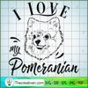 I love my pomeranian copy