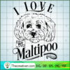 I love my Maltipoo copy