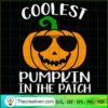 Coolest Pumpkin In The Patch SVG, Pumpkin Halloween SVG, Halloween SVG 2 326 copy