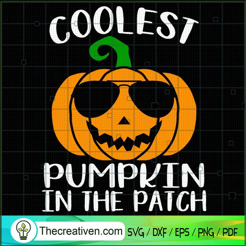 Coolest Pumpkin In The Patch SVG, Pumpkin Halloween SVG, Halloween SVG 1 326 copy