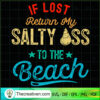Vintage Summer Lost Return SVG, Vintage SVG, Quotes SVG 3 96 copy 7