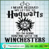 I Never Received My Letter To Hogwarts SVG Cut File fo Design 45422 2 56 copy 11
