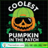 Coolest Pumpkin In The Patch SVG Cut File for Cricut & Design 41120 2 Tweetii 201017 UP 08 copy