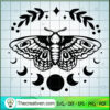Moth copy